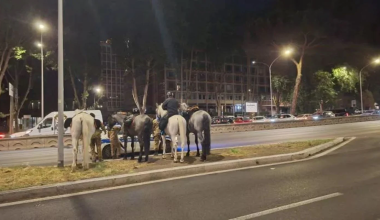 Βίντεο: Άλογα έτρεχαν αφηνιασμένα σε λεωφόρο της Ρώμης – Τουλάχιστον πέντε τραυματίες
