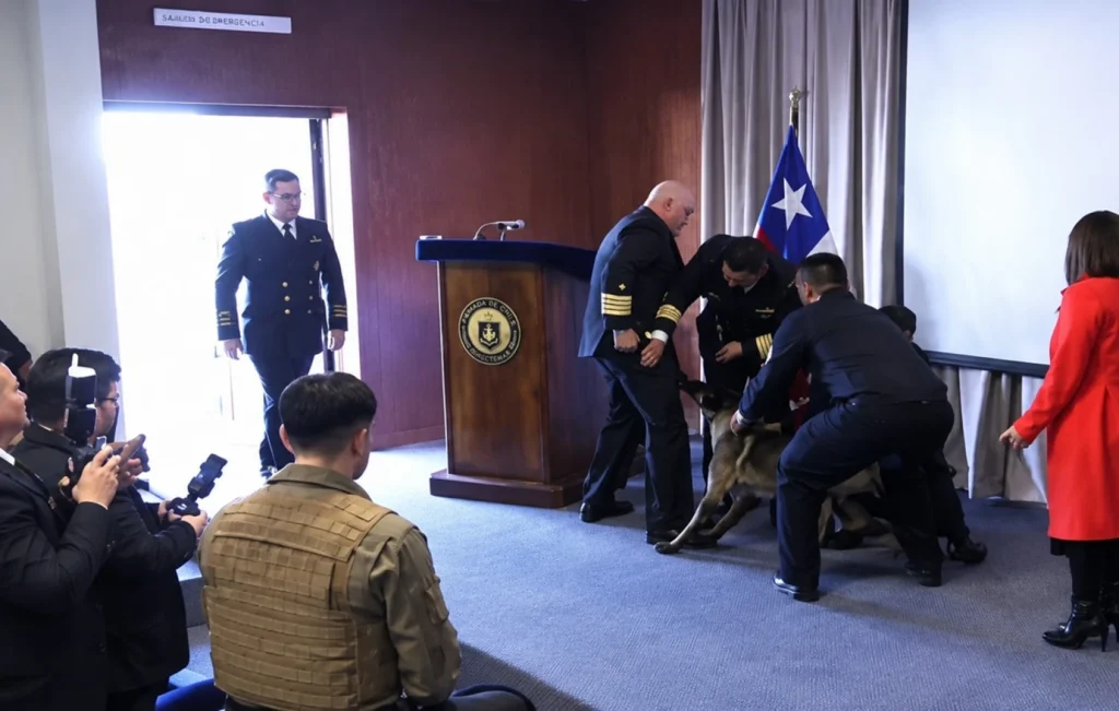Χιλή: H στιγμή που σκύλος ανίχνευσης ναρκωτικών αρπάζει αξιωματικό από… την τσέπη σε παρουσίαση (βίντεο)