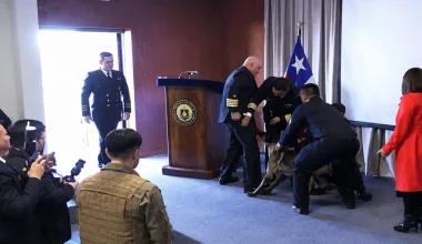 Χιλή: H στιγμή που σκύλος ανίχνευσης ναρκωτικών αρπάζει αξιωματικό από… την τσέπη σε παρουσίαση (βίντεο)
