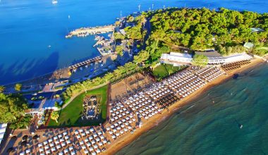 «Μπαράζ» ελέγχων της ΑΑΔΕ στην Αθηναϊκή Ριβιέρα: Πρόστιμα και «λουκέτα» σε επιχειρήσεις εστίασης
