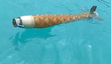 Ανησυχία στην Τουρκία: Η θάλασσα «ξέβρασε» κομμάτι από πύραυλο – Πού φέρεται να ανήκει (βίντεο)