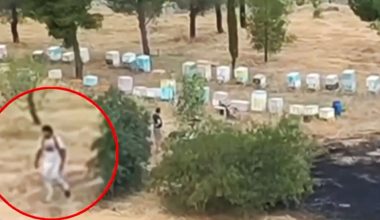 Ταυτοποιήθηκε και αναζητείται μελισσοκόμος για την φωτιά στο Άλσος Βεΐκου