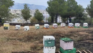 Συνελήφθη ο 45χρονος μελισσοκόμος για την φωτιά στο Άλσος Βεΐκου