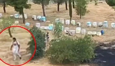 Αθωώθηκε ο μελισσοκόμος που κατηγορήθηκε για τον εμπρησμό στο άλσος Βεΐκου