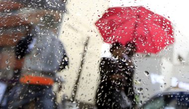 Οι άνθρωποι είναι 200.000 φορές πιο ευαίσθητοι στη μυρωδιά μετά τη βροχή από ότι οι καρχαρίες στο αίμα!