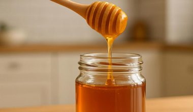 Αρχαιολόγοι ανακάλυψαν δοχεία με μέλι μέσα σε τάφους 3.000 ετών στην Αίγυπτο – Μπορεί να καταναλωθεί!