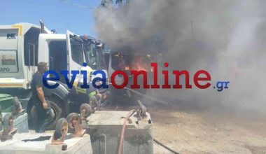 Απορριμματοφόρο στο Αλιβέρι Εύβοιας έγινε παρανάλωμα του πυρός – Έγκαιρη η παρέμβαση της Πυροσβεστικής (βίντεο)