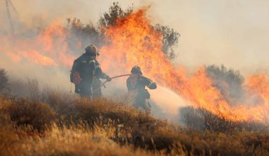 Σημαντικό το νούμερο των χρημάτων που έχουν καταβάλει ασυνείδητοι για πρόκληση πυρκαγιών από την αρχή του έτους