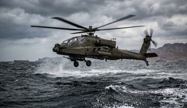 Καταρρίφθηκε από την ιρανική αεράμυνα  το αμερικανικό Apache που κατέπεσε στα Στενά του Ορμούζ!