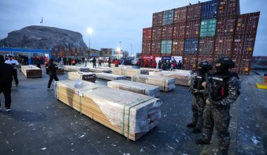 Χιλή: Κατασχέθηκαν πάνω από 100 τόνοι ναρκωτικών που ήταν σε φορτία ξυλείας με προορισμό την Ευρώπη (βίντεο)