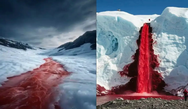«Blood Falls»: Ο εντυπωσιακός κόκκινος καταρράκτης της Ανταρκτικής