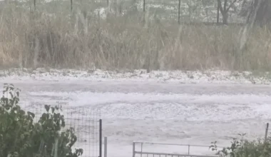 Έντονη χαλαζόπτωση έπληξε την Πεδινή στα Ιωάννινα: Μεγάλες ζημιές σε καλλιέργειες (βίντεο)