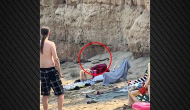 Αναστάτωση σε παραλία στην Κύπρο: Η στιγμή που εμφανίζονται δύο μεγάλα μαύρα φίδια (βίντεο)