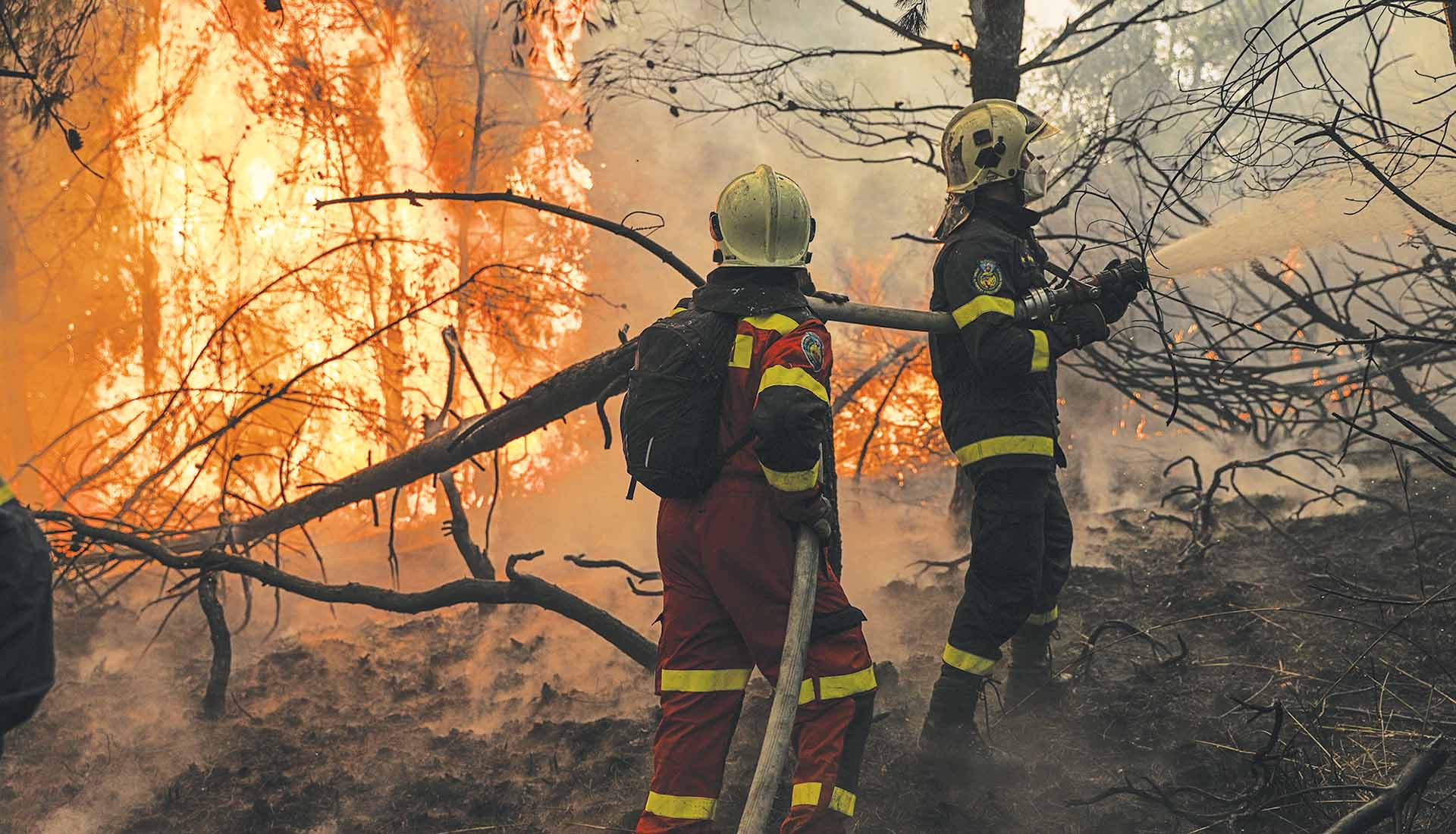 Χειροπέδες σε 64χρονο για πρόκληση πυρκαγιάς σε δασική έκταση της Εύβοιας