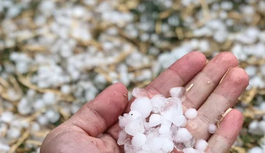 Σφοδρή χαλαζόπτωση έπληξε τα Ιωάννινα: Mεγάλες ζημιές σε αμπελώνες στη Ζίτσα (βίντεο)