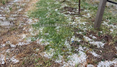 Σφοδρή χαλαζόπτωση στη Φθιώτιδα προκάλεσε καταστροφές σε καλλιέργειες ακτινιδίων και ελιών (βίντεο)