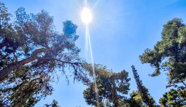 Αίθριος σήμερα ο καιρός με μικρή άνοδο της θερμοκρασίας – Η πρόγνωση της ΕΜΥ