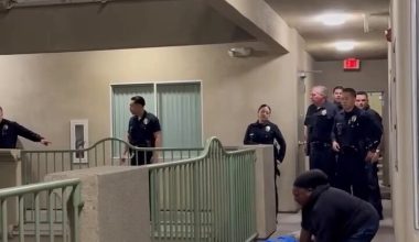 Βίντεο: Αστυνομικοί του Λος Άντζελες πήγαν για να πουν σε γυναίκα να μην κάνει φασαρία και της σκότωσαν τον σκύλο!