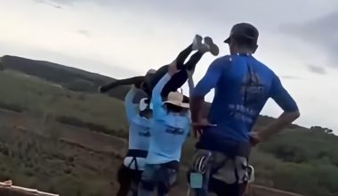 Νέα στοιχεία για τον θάνατο της 21χρονης Βραζιλία: «Δεν θυμάμαι ποιος είχε την ευθύνη»