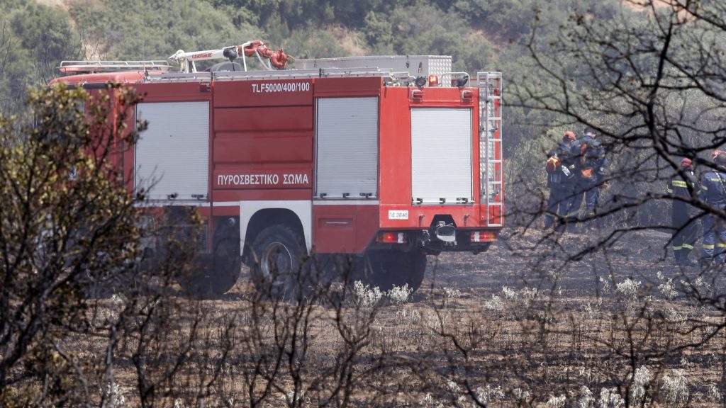 Πυρκαγιά σε αγροτική έκταση στη Φθιώτιδα – Δύο αεροσκάφη στη μάχη της κατάσβεσης