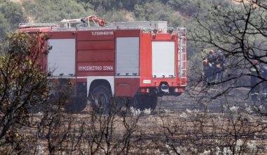 Πυρκαγιά σε αγροτική έκταση στη Φθιώτιδα – Δύο αεροσκάφη στη μάχη της κατάσβεσης