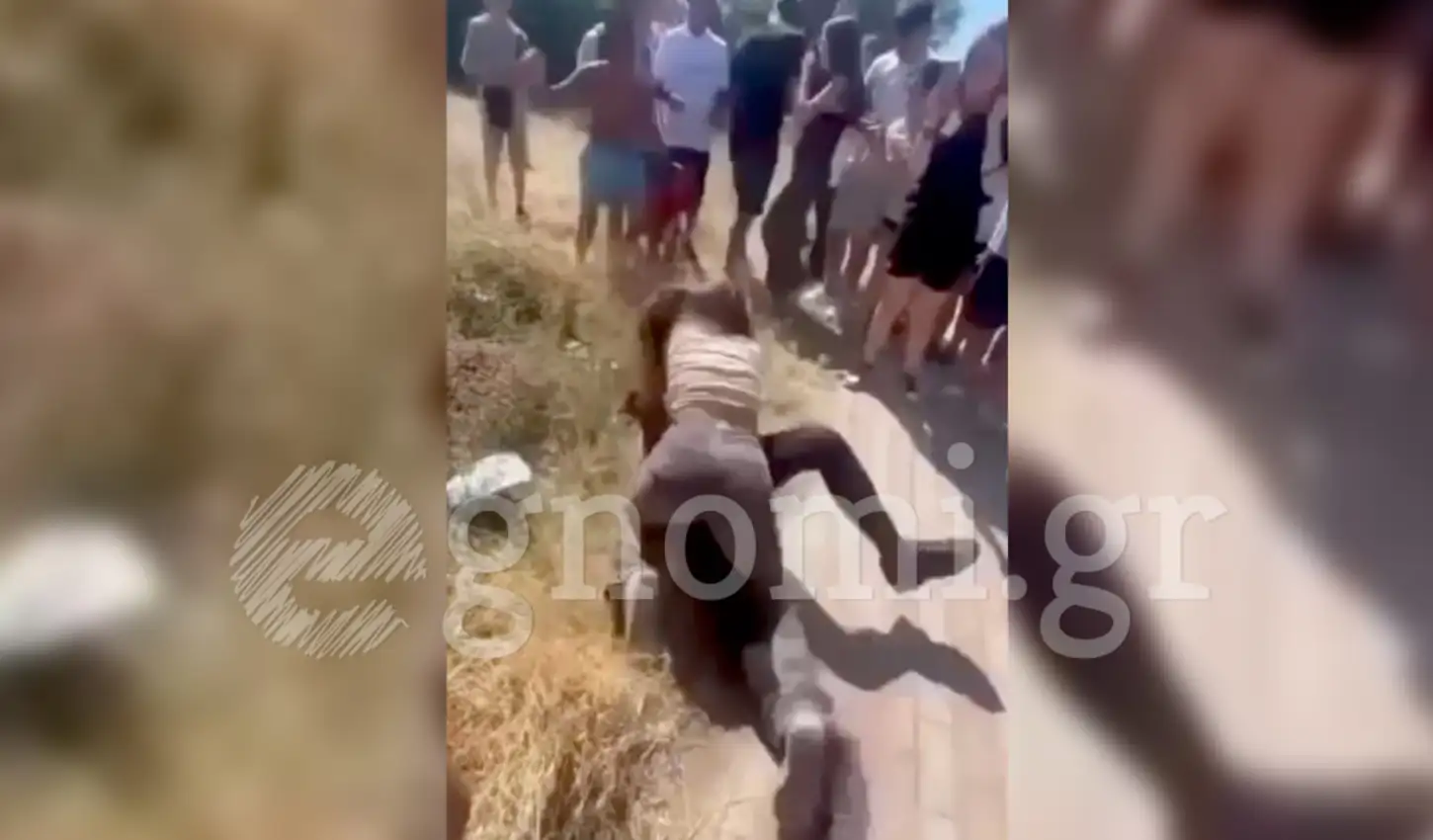 Εύβοια: Βίαιη συμπλοκή μεταξύ δύο μαθητριών έξω από γυμνάσιο (βίντεο)