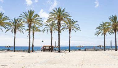 Καύσωνας «σαρώνει» τη Γαλλία – Το Παρίσι πλησιάζει τους 40 βαθμούς Κελσίου