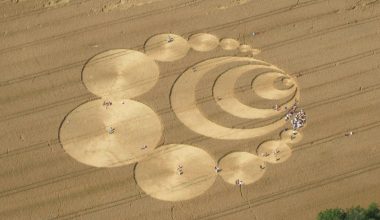 Ερευνήτρια UFO: «Μην πιστεύετε τις “αποκαλύψεις”  – Στο κίνημα έχουν διεισδύσει  πράκτορες και ηθοποιοί!»