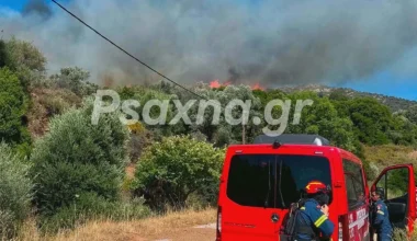 Μεγάλη φωτιά στην Εύβοια: Εκκενώνονται Μεσοχώρια και Ραπταίοι (φωτο – βίντεο)