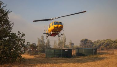 Βοιωτία: Mεγάλη φωτιά σε δασική έκταση στο Ακραίφνιο – Επιχειρούν και εναέρια μέσα