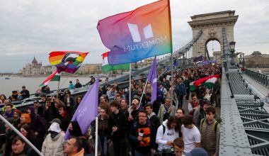 Βουδαπέστη: Άνδρας ξήλωσε σημαίες ΛΟΑΤΚΙ+ από τη Γέφυρα Ελισάβετ και τις πέταξε στον Δούναβη