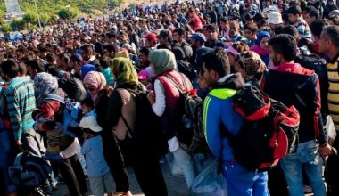 Παράνομος αλλοδαπός από το Ναύπλιο: «Όσοι δεν έχουν χαρτιά να μην ανησυχούν η αστυνομία δεν κάνει τίποτα»