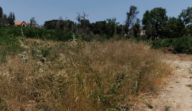 Ξεκινούν οι έλεγχοι στα ακαθάριστα οικόπεδα: Πρόστιμα έως 5.000 ευρώ και ποινές για ψευδείς δηλώσεις