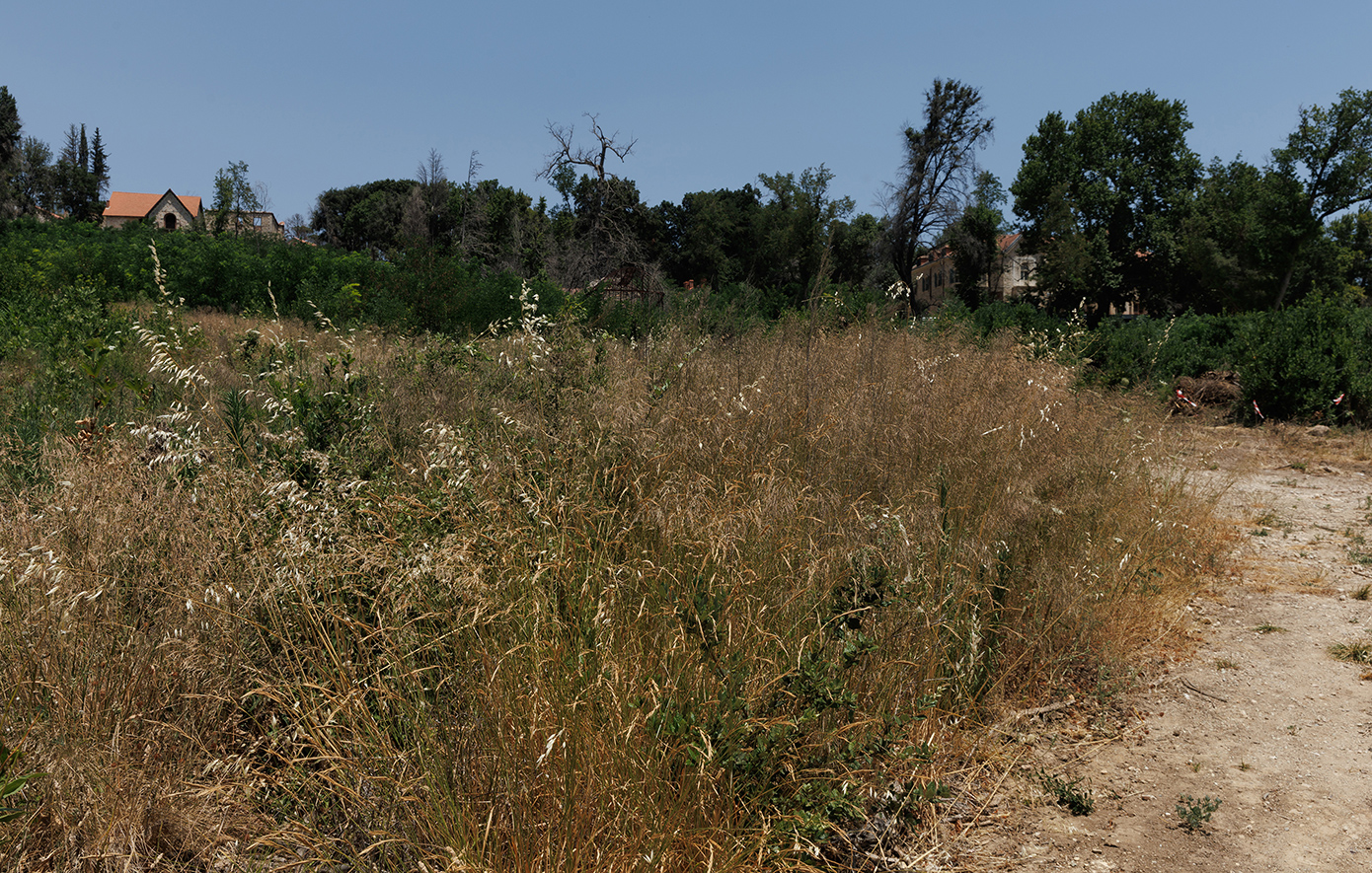 Ξεκινούν οι έλεγχοι στα ακαθάριστα οικόπεδα: Πρόστιμα έως 5.000 ευρώ και ποινές για ψευδείς δηλώσεις