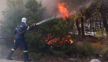 «Το έκανα για να μην ξεσπάσω στα παιδιά μου»: Συγκλονίζει η κατάθεση 43χρονης που συνελήφθη για φωτιά στη Κερατέα