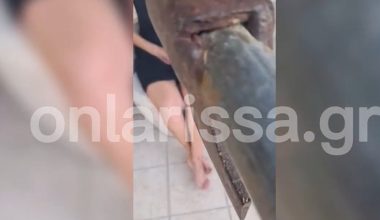 Λάρισα: Έκανε ζωντανή μετάδοση ο 50χρονος που είχε όμηρο τη γυναίκα του