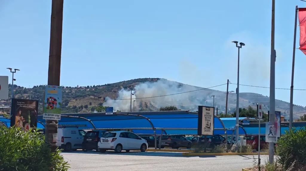 Άμεση κινητοποίηση για φωτιά στον Κουβαρά – Οριοθετήθηκε πριν πάρει διαστάσεις