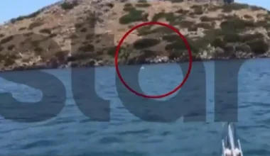 Μέγαρα: Bίντεο από την διάσωση 14χρονου και της μητέρας του που παρασύρθηκαν από τα θαλάσσια ρεύματα