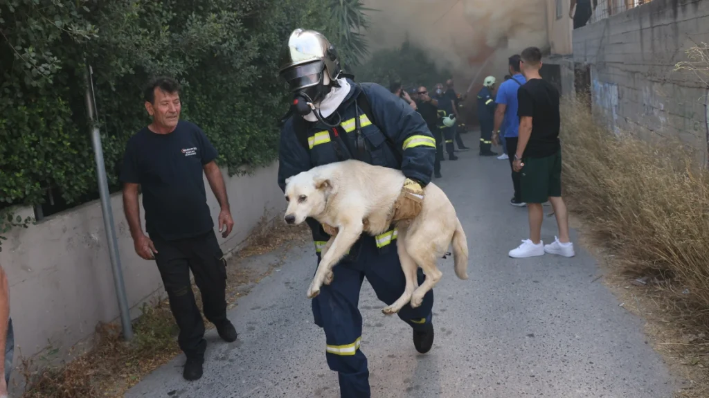 Φωτιά στο Ηράκλειο: Η στιγμή που πυροσβέστης σώζει σκύλο μέσα από τις φλόγες (φωτο)