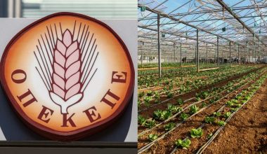 Ένοχοι 57 αγρότες για παράνομη είσπραξη επιδοτήσεων του ΟΠΕΚΕΠΕ: 27 από αυτούς ήταν στελέχη και οπαδοί της ΝΔ!