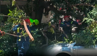 Ισχυροί άνεμοι πλήττουν την Αττική: Δέντρο έπεσε σε όχημα στη Μιχαλακοπούλου – Κατέρρευσε τμήμα τοίχου στο Παγκράτι