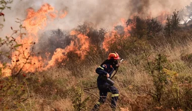 Στο «κόκκινο» αρκετές περιοχές στην Ελλάδα: Αυξημένος ο κίνδυνος πυρκαγιάς – Δείτε χάρτη