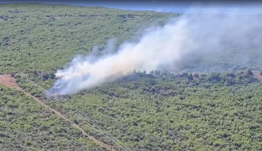 Βοιωτία: Mεγάλες φωτιές στον Άγιο Βασίλειο και στην Πέτρα – Προειδοποιητικά μηνύματα στους κατοίκους (βίντεο)