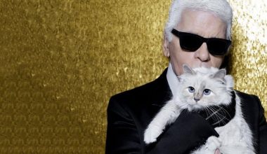 Στο «σφυρί» περισσότερα από 1.000 αδημοσίευτα σκίτσα του Κ.Λάγκερφελντ