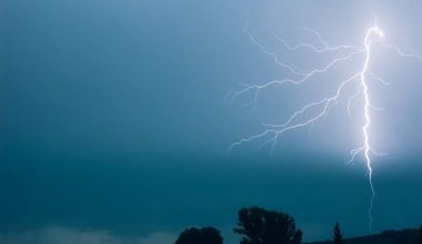 Αναστάτωση στη Σουηδία: Κεραυνός έπεσε σε δέντρο πάρκου αναψυχής και τραυμάτισε αρκετά άτομα