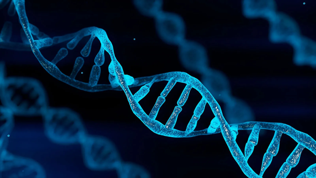 Αποκαλύφθηκε το «κρυφό DNA» των αρχαίων χειρογράφων: Οι περγαμηνές αποκάλυψαν μια άγνωστη ιστορία αιώνων