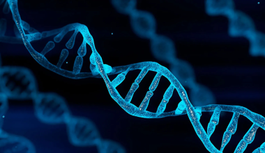 Αποκαλύφθηκε το «κρυφό DNA» των αρχαίων χειρογράφων: Οι περγαμηνές αποκάλυψαν μια άγνωστη ιστορία αιώνων