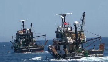 Τα τουρκικά αλιευτικά «πολιορκούν» τα Κύθηρα κλέβουν τον ελληνικό αλιευτικό πλούτο και ουδείς αντιδρά!