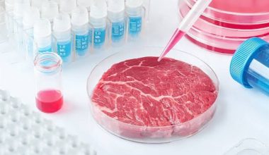 Ουγγαρία: Πλήρης απαγόρευση του εργαστηριακά καλλιεργημένου κρέατος