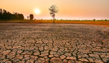 El Niño: Συναγερμός από τον ΟΗΕ για ακραία καιρικά φαινόμενα τους επόμενους μήνες